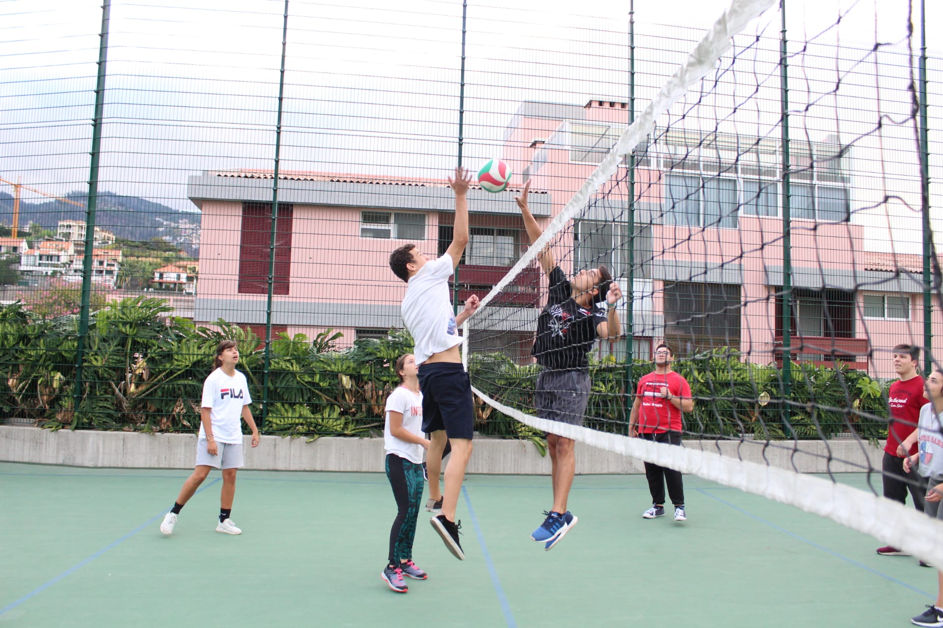 DE Voleibol